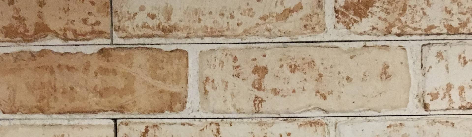 Professioneel metselwerk schoonmaken en bakstenen reinigen door ervaren gevelspecialisten
